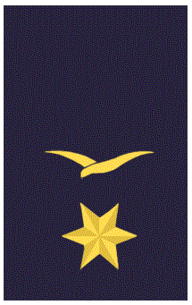 Hombreras Alferez Alumno 3º Ejército del Aire